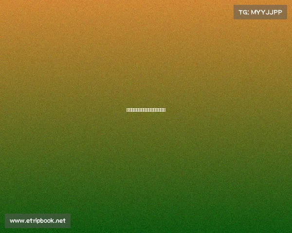 猛龙超越预期，季后赛开局引发热议